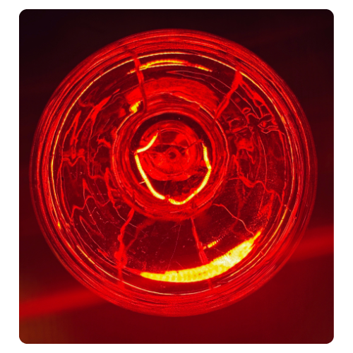 The Truth About Red Light Therapy