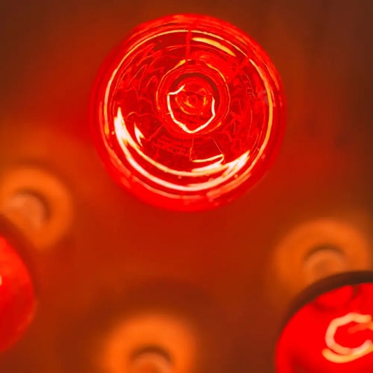 LYSTRA 101: Light, Heat & the Return to Cellular Coherence