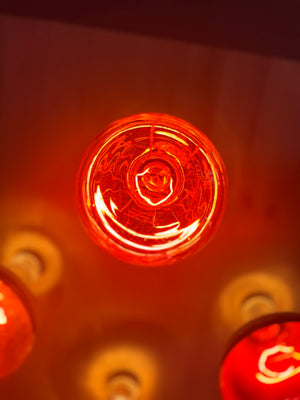 Lystra 101: Light, Heat & Return To Cellular Coherene