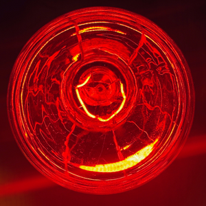 Unlocking the Full-Spectrum Benefits of LYSTRA ELDSTAD